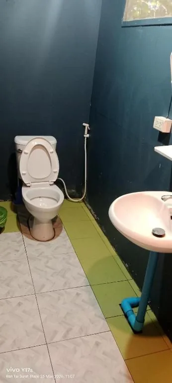 3 Star and the Sun – 사진 7